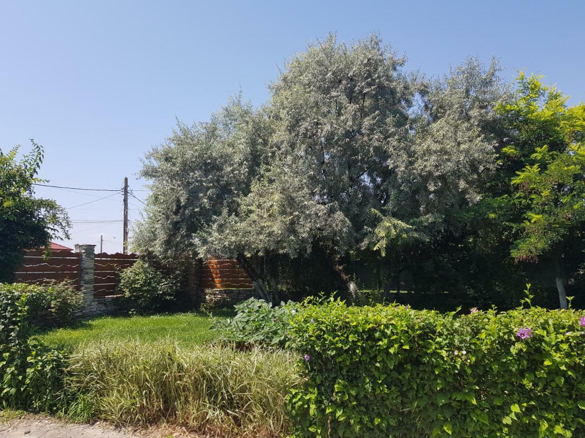 فندق Colt De Rai كوربو المظهر الخارجي الصورة